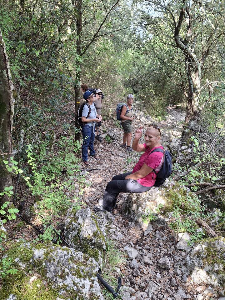 547366609 749274691261158 6193207914254145784 n