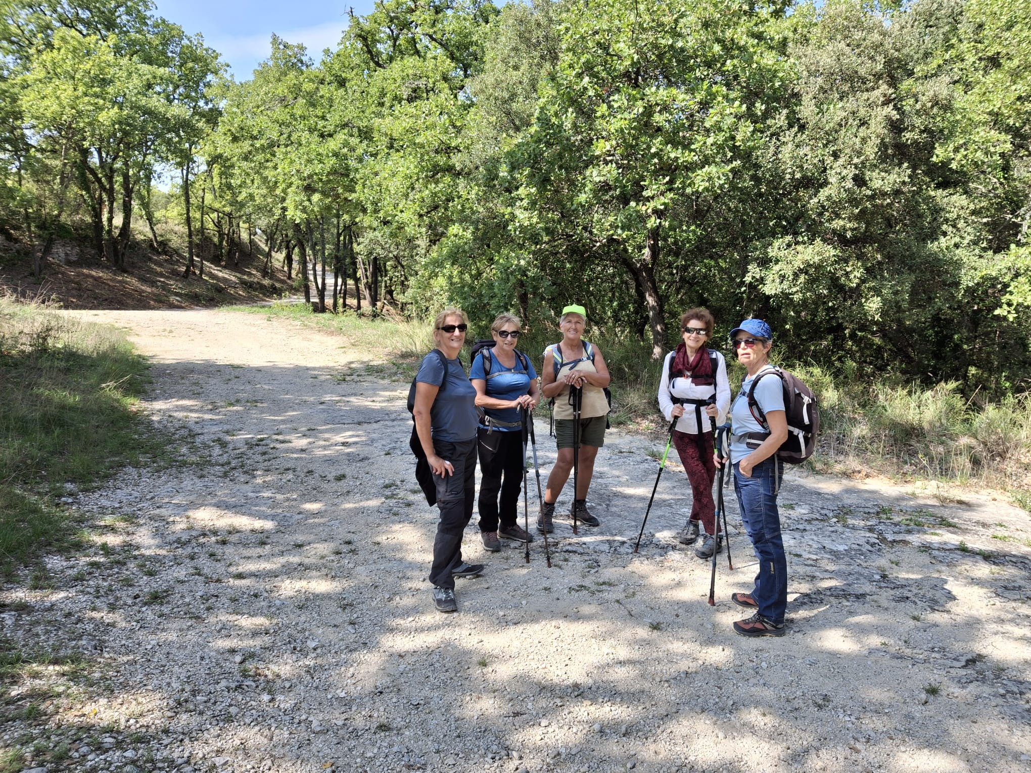 546625428 749275087927785 9066321335074718678 n