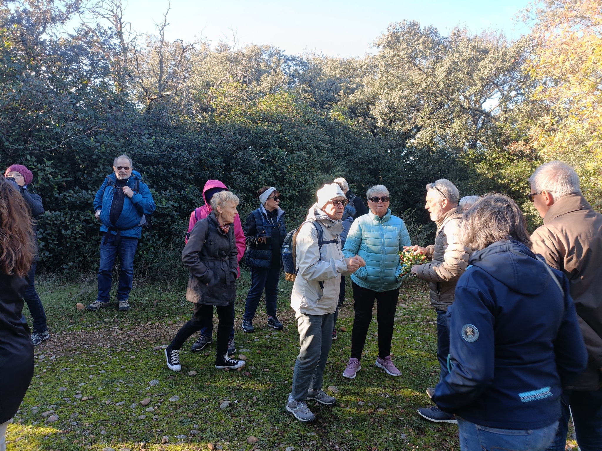 589271686 810205911834702 4113788980171672210 n