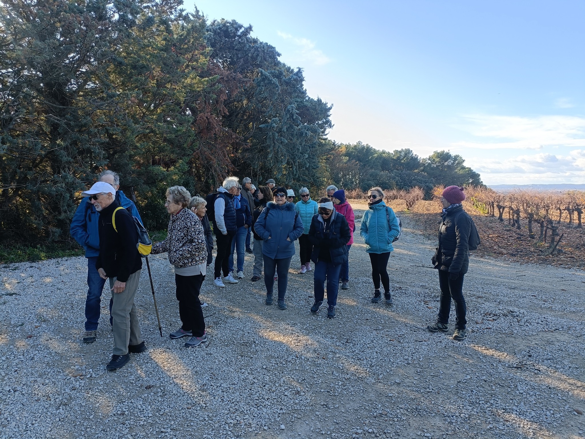 587467063 810205435168083 1643576338632403389 n