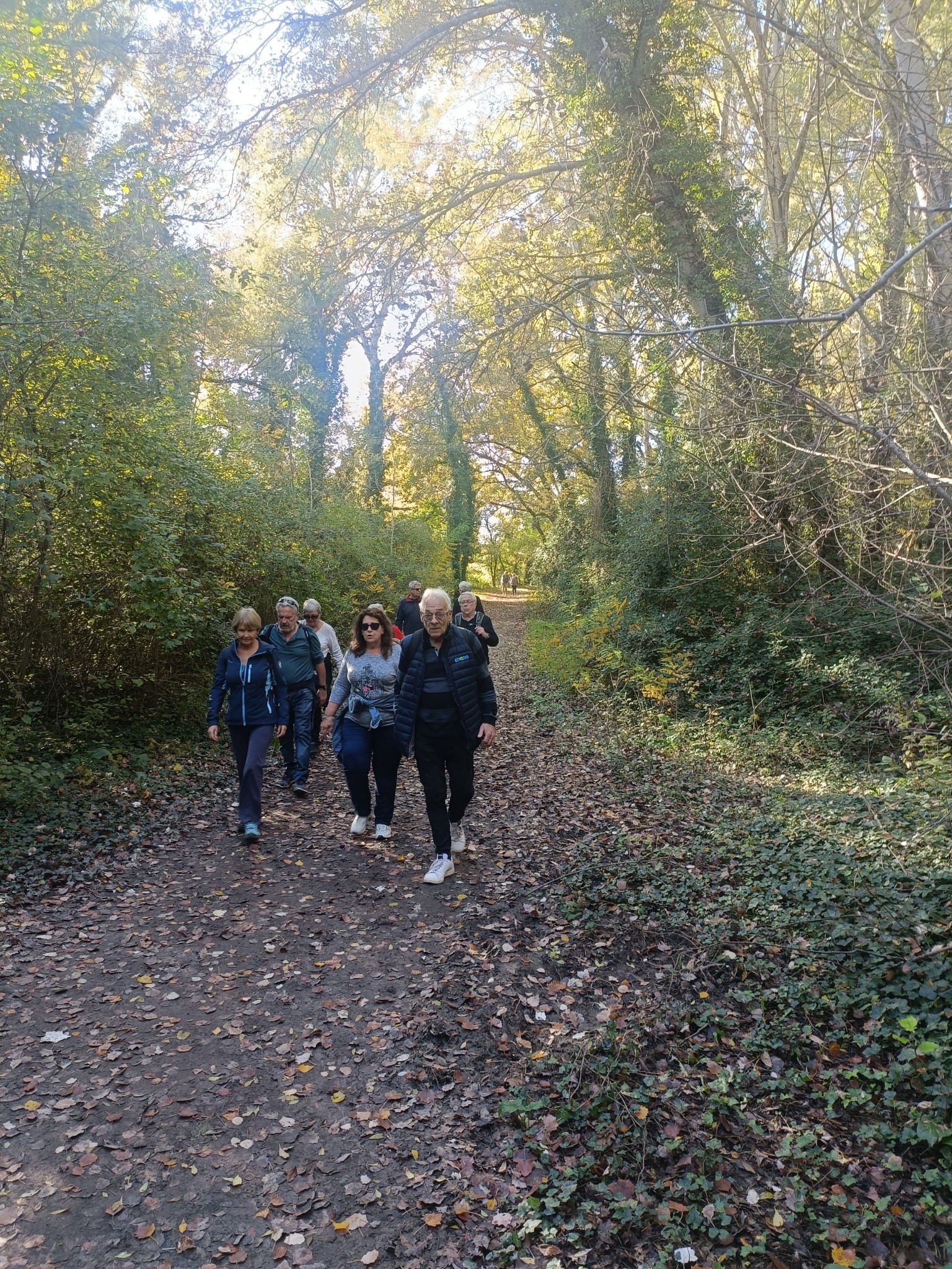 576676499 793450620176898 4673863122356790258 n