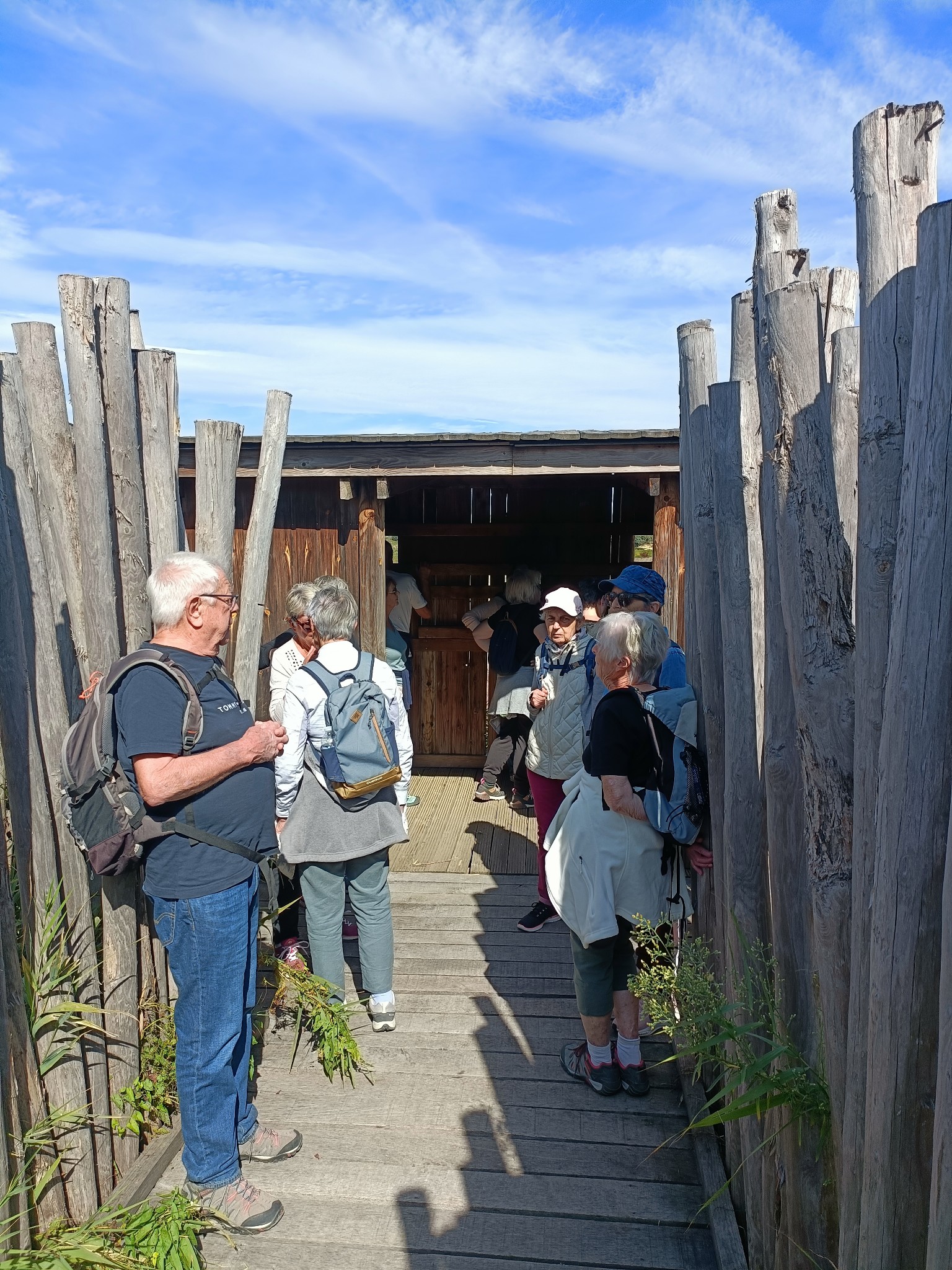 557195659 763200703201890 1111121528885661763 n