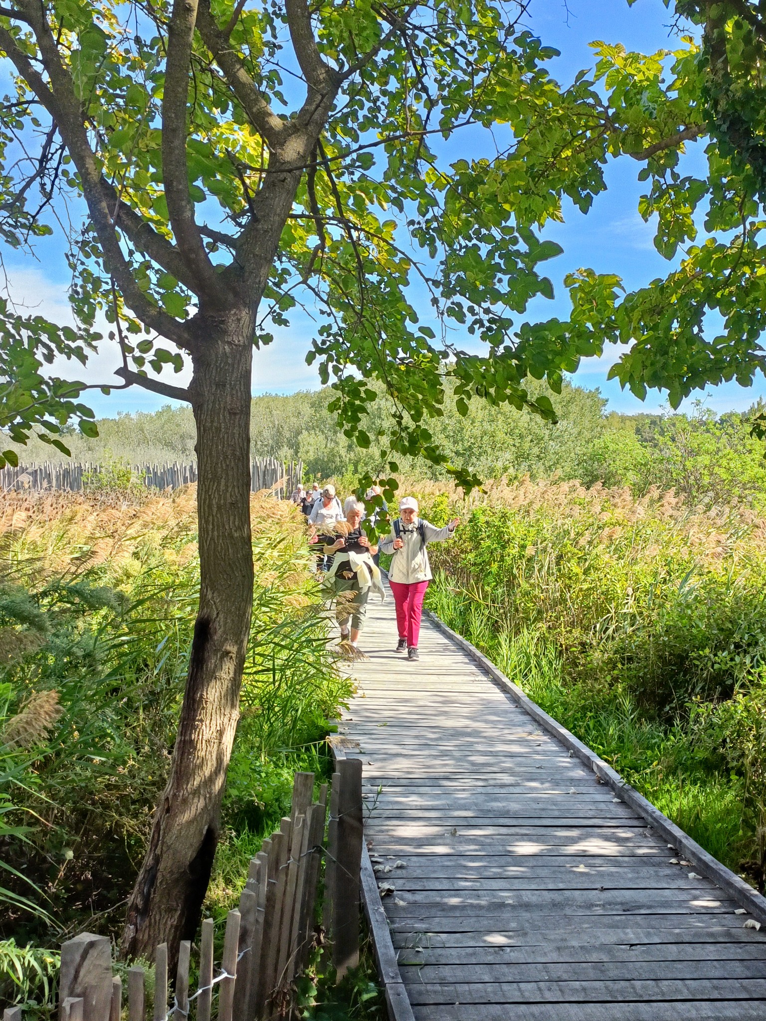 557015846 763200519868575 876261329311591211 n