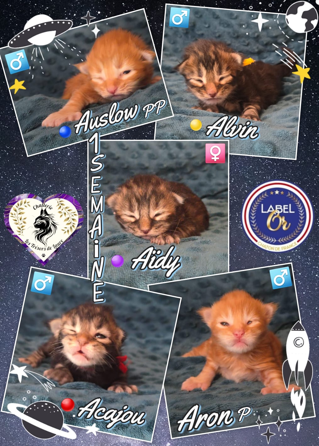 IMG-20251125-WA0022-1-