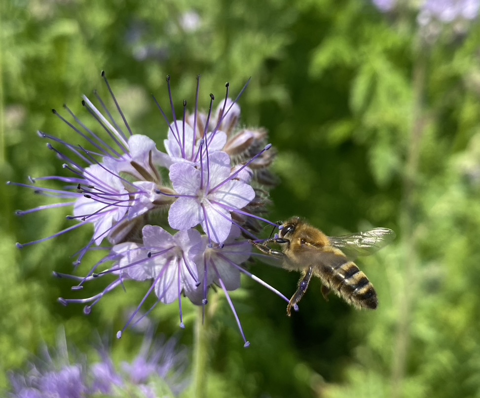 21ce4893 6cee 45d4 a353 c2713b613a7e 1 105 c