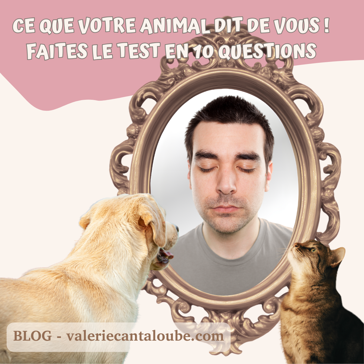 Ce que votre animal dit de vous : un test en 10 questions
