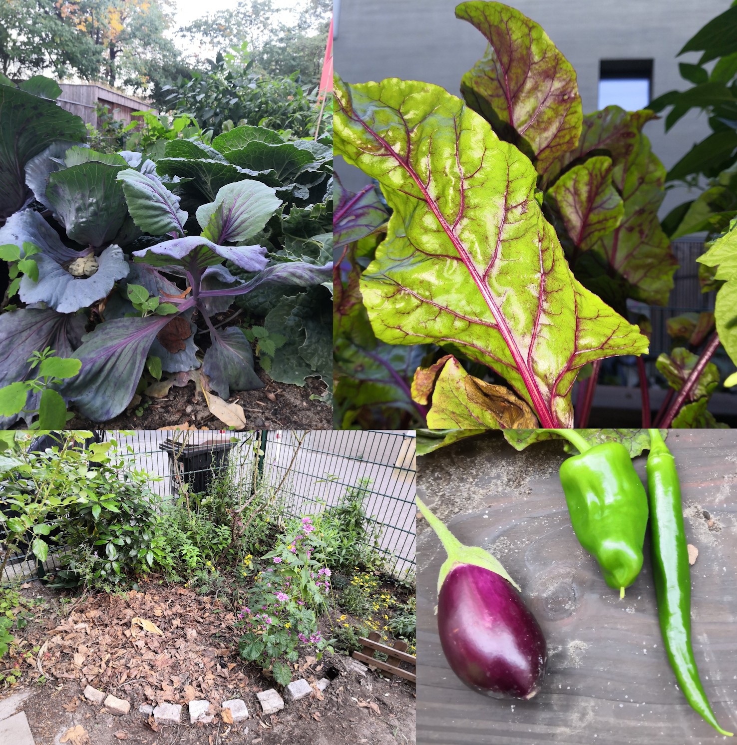 Les fleurs et legumes