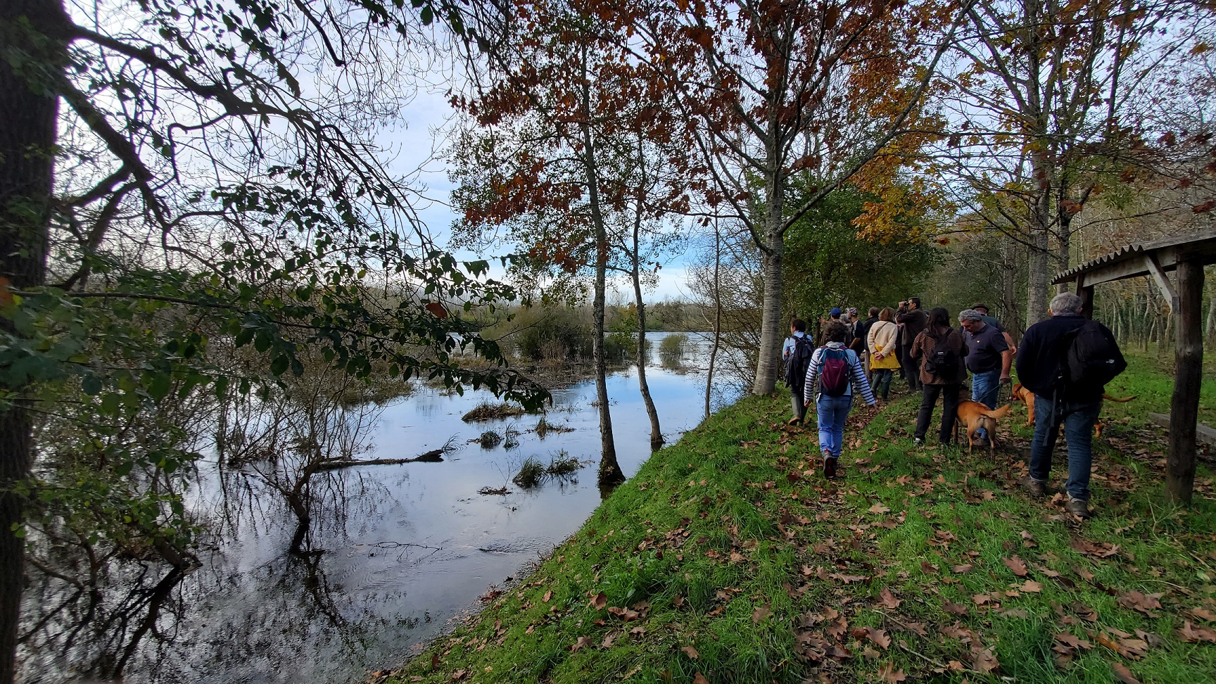 Participants à une sortie nature organisée par le CTPN le long d'une zone humide du Marais poitevin