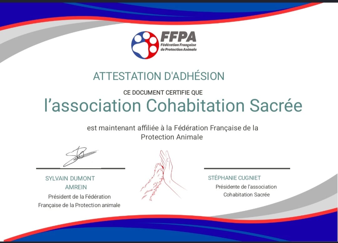 Whatsapp image 2025 11 27 a 11 22 57 0e8c47ff