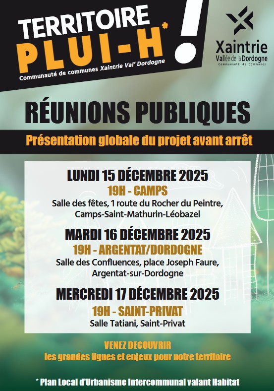 Pluih-reunion-publique