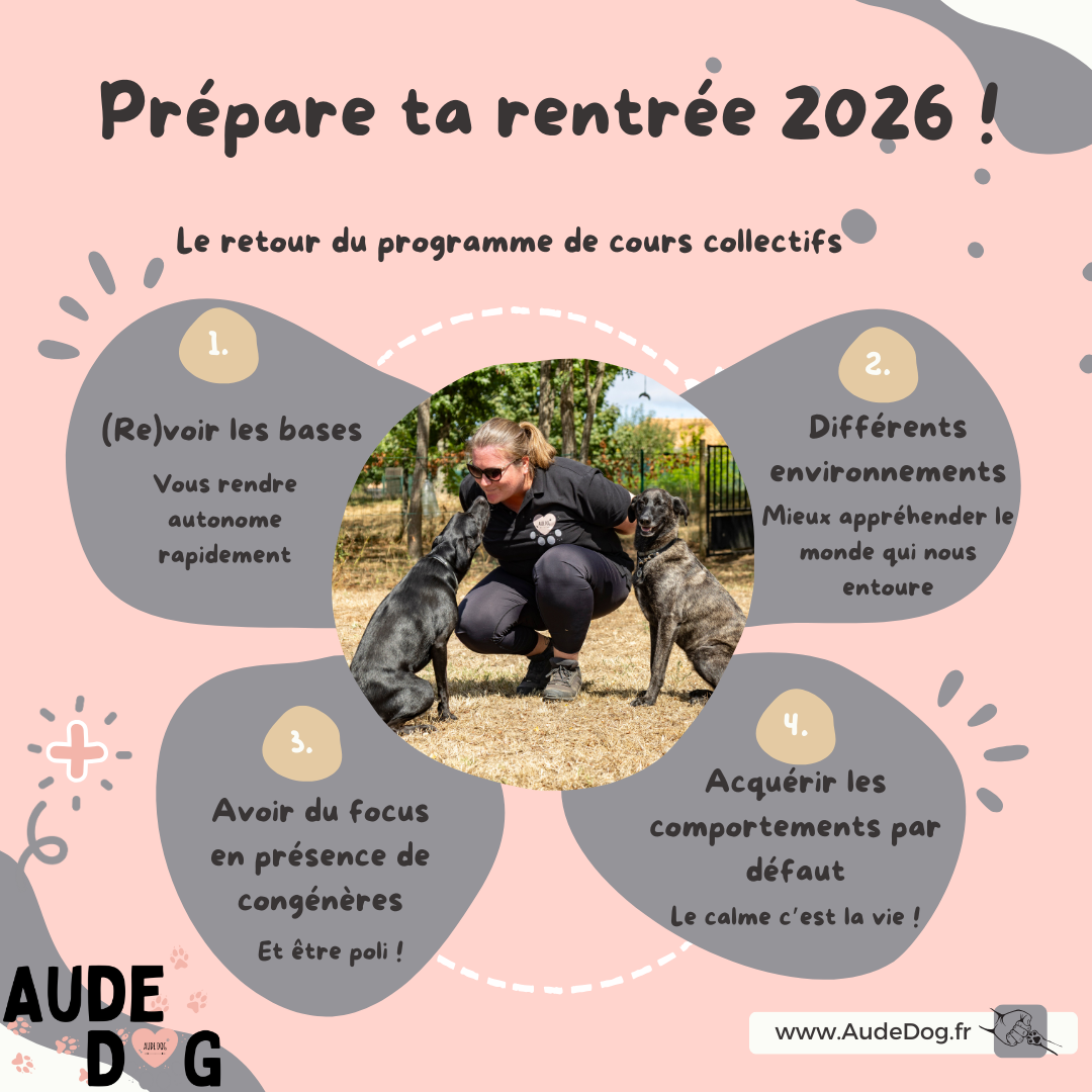 Rentrée canine 2026 !