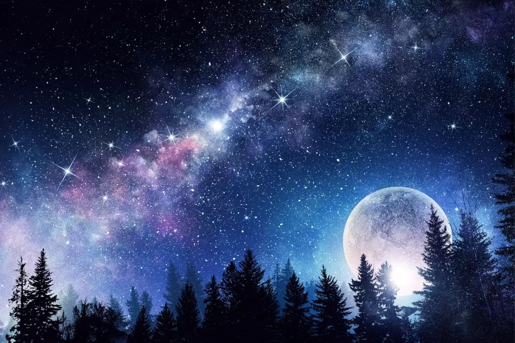 Sans-titre-49-1024x683