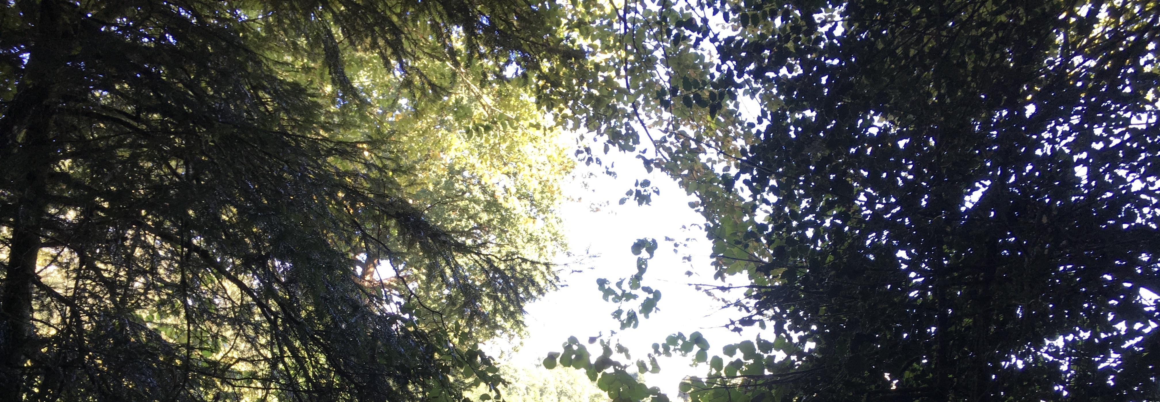 IMG 0399-2