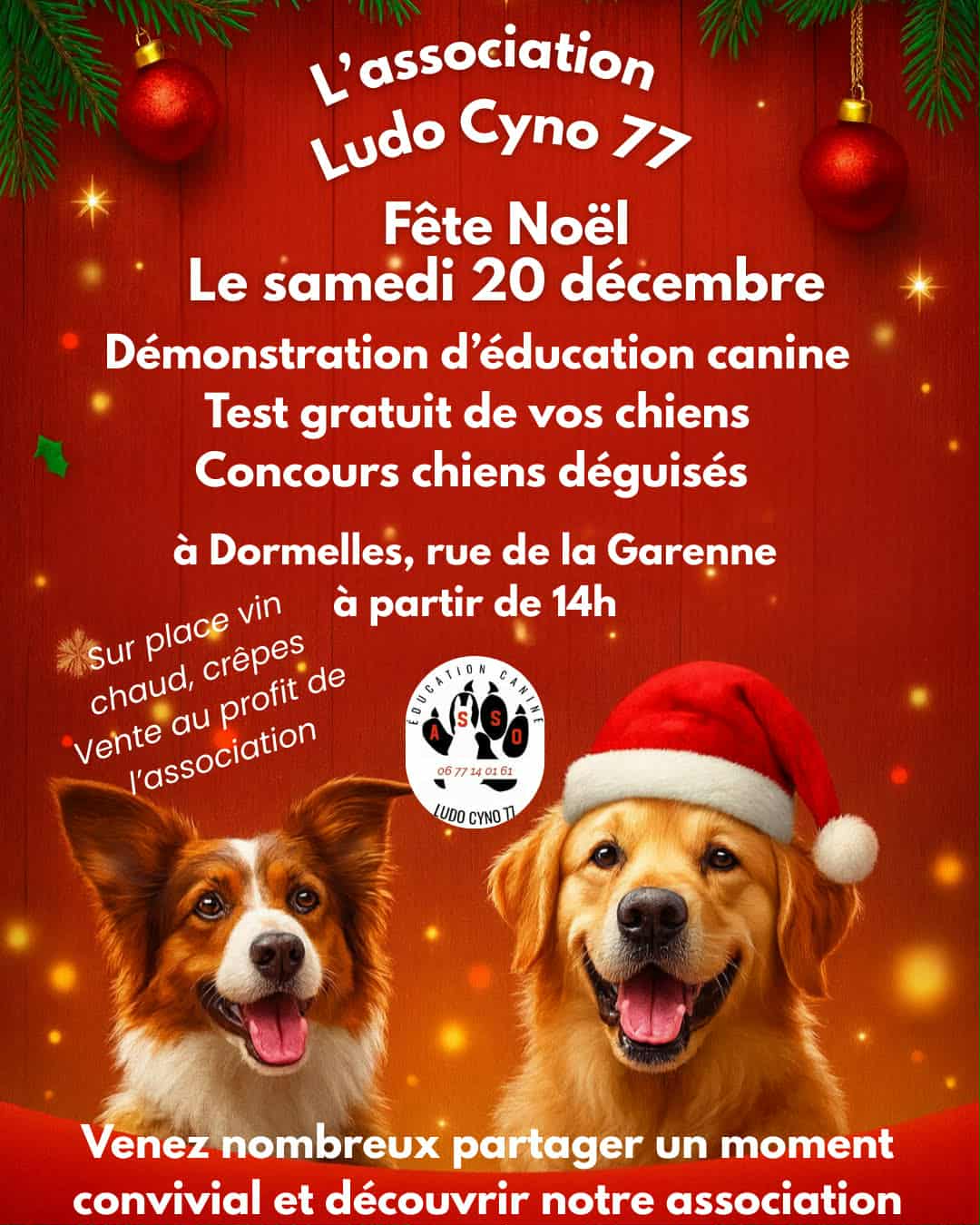 Animation Noel 2025 de l'association Ludo Cyno 77
