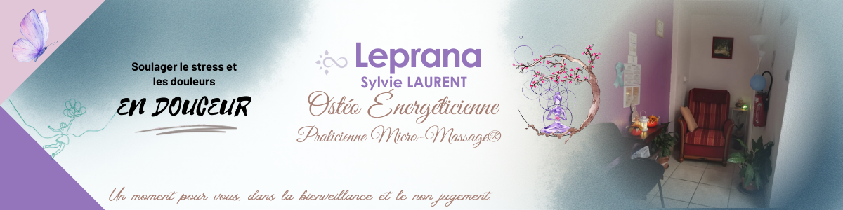 Copie-de-bandeau-site