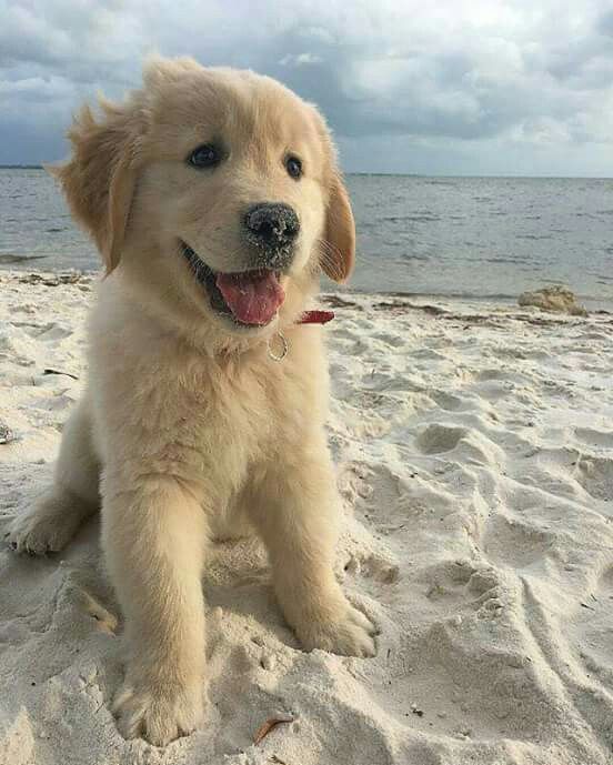 25fc8d5a97745b512f5300a272ff6cfc