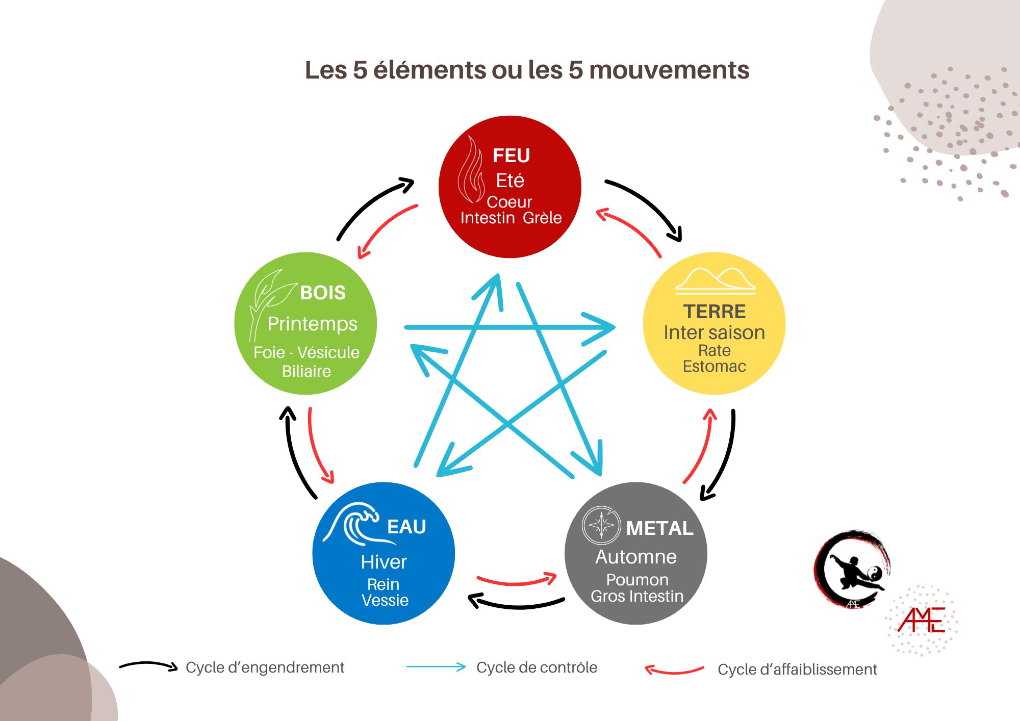 5 elements mtc cycle engendrement controle ame art du mieux etre jpg 5 