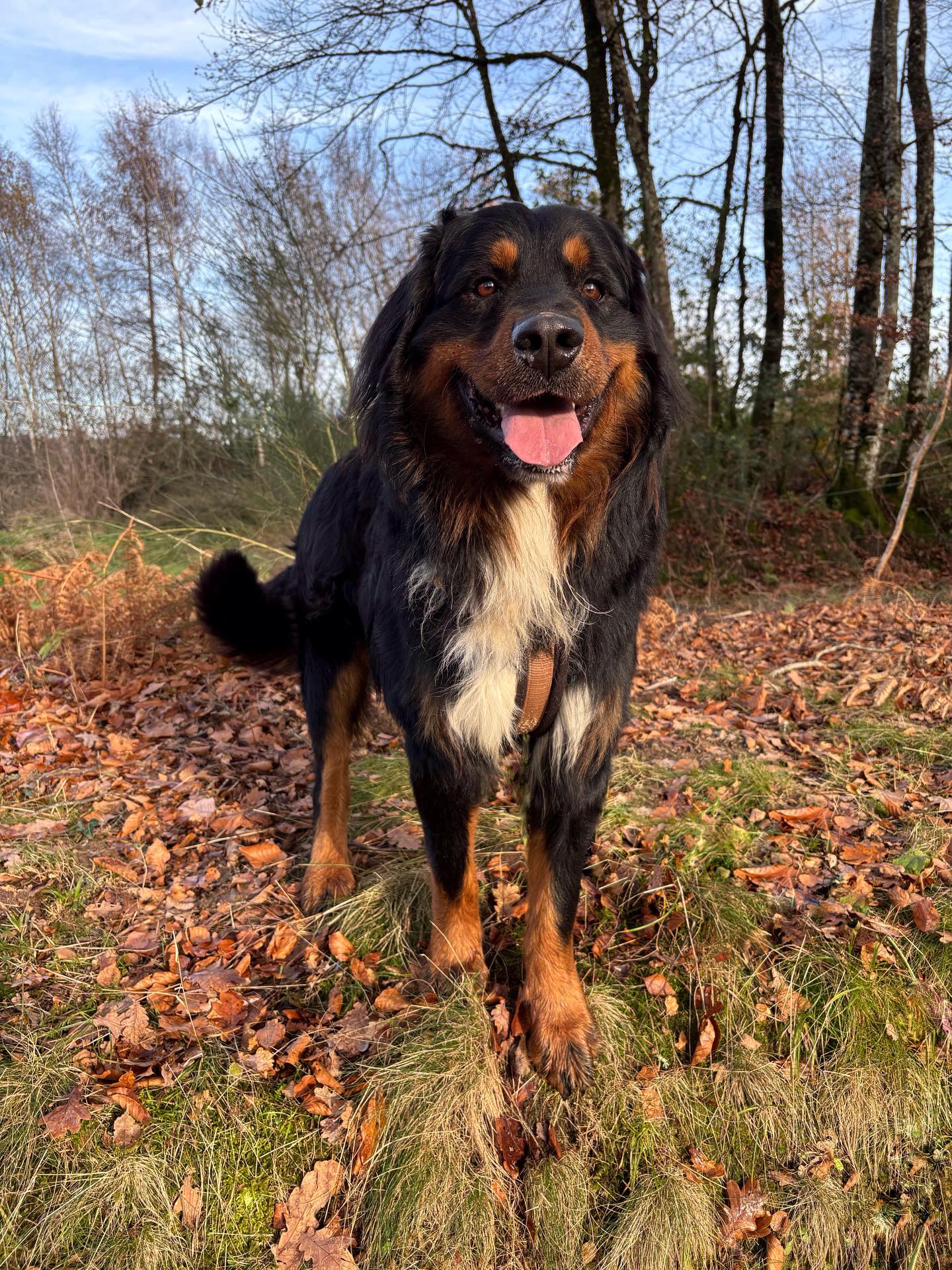 587546985 18388382497197615 2696086318230777006 n