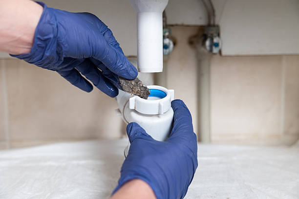 Istockphoto-2229858142-612x612