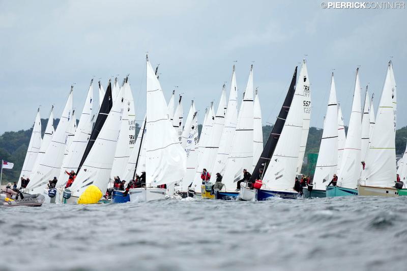 Muscadet national muscadet 2024 0014