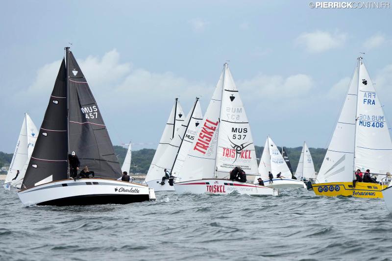 Muscadet national muscadet 2024 0039