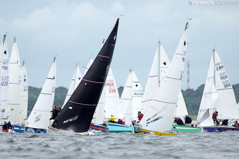 Muscadet national muscadet 2024 0025