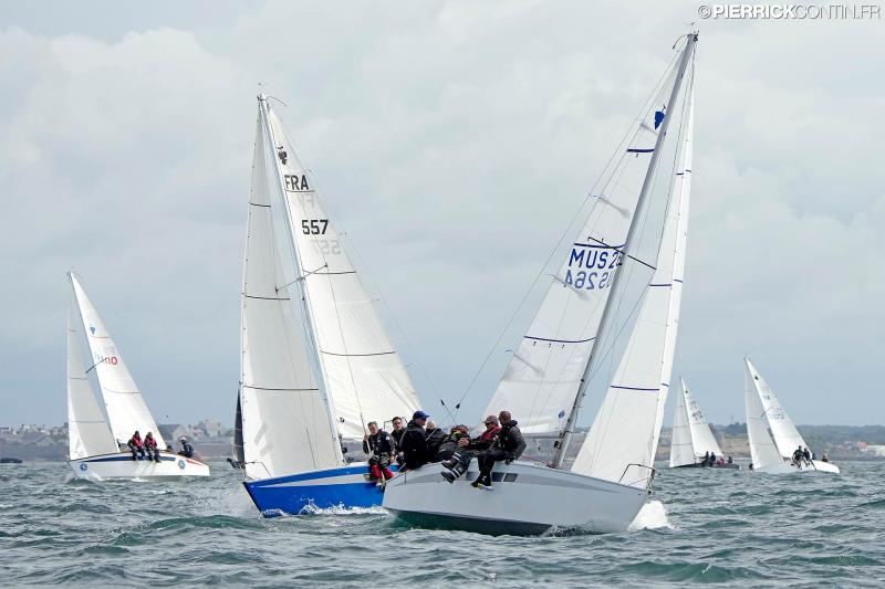 Muscadet national muscadet 2024 0096