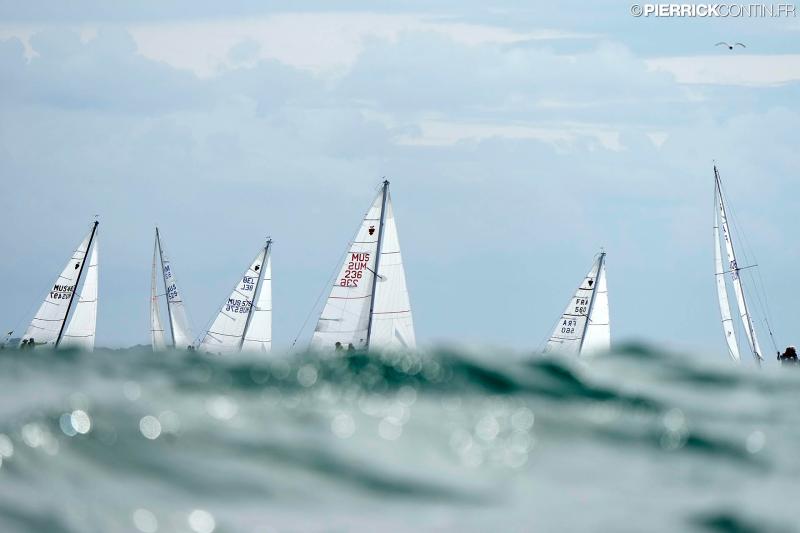 Muscadet national muscadet 2024 0090