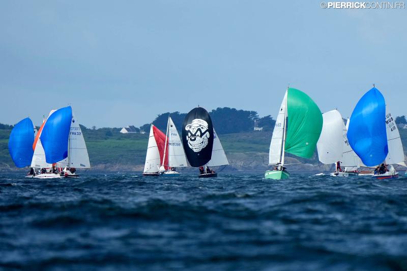 Muscadet national muscadet 2024 0080