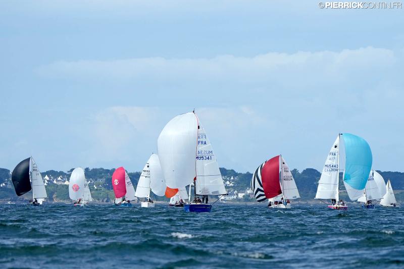 Muscadet national muscadet 2024 0078