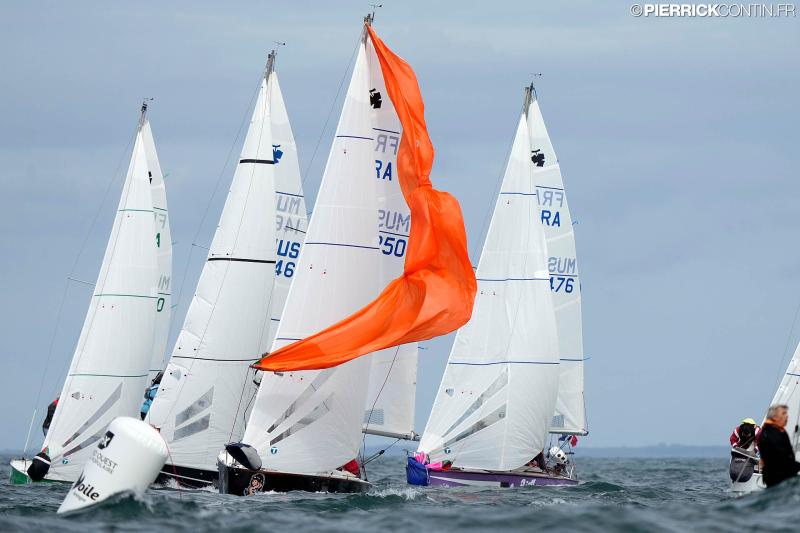 Muscadet national muscadet 2024 0076