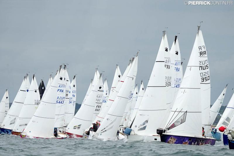 Muscadet national muscadet 2024 0146