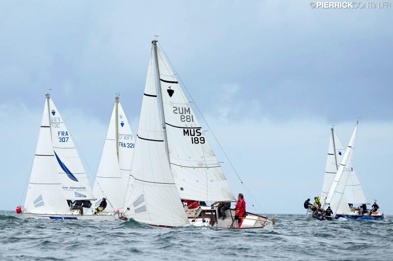 Muscadet national muscadet 2024 0173