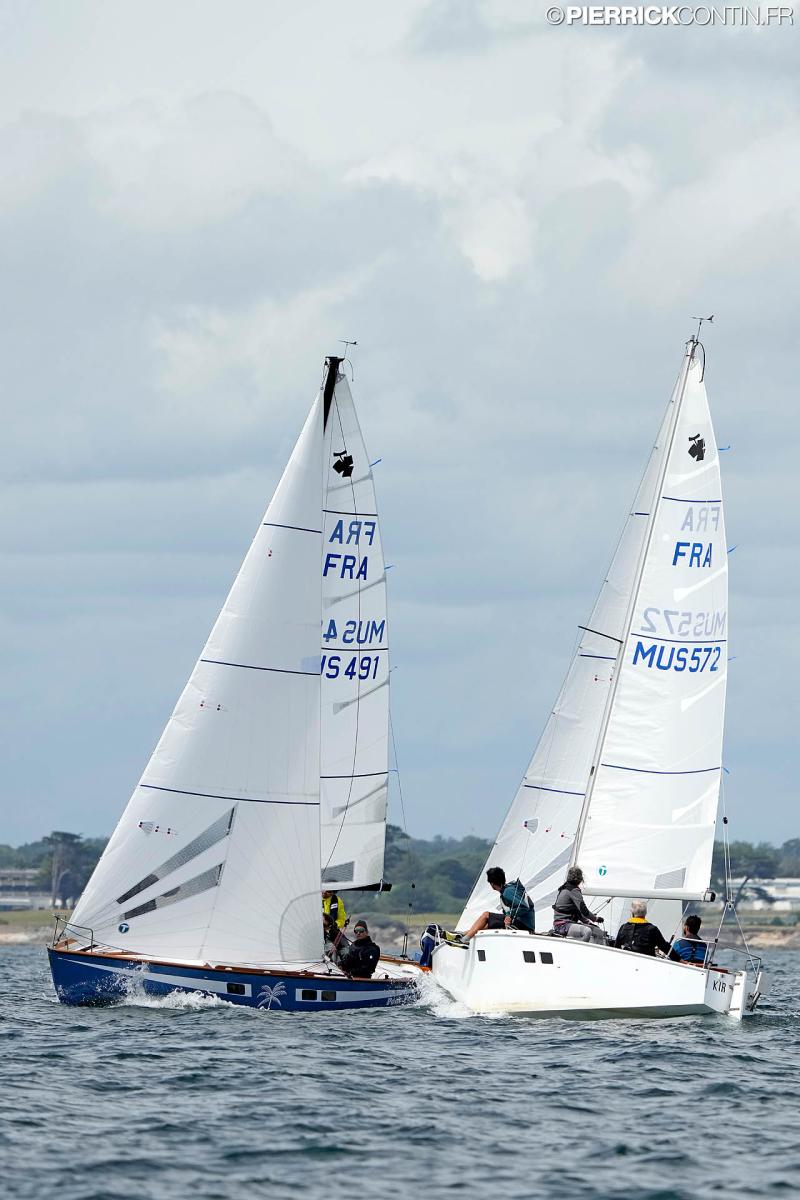 Muscadet national muscadet 2024 0329