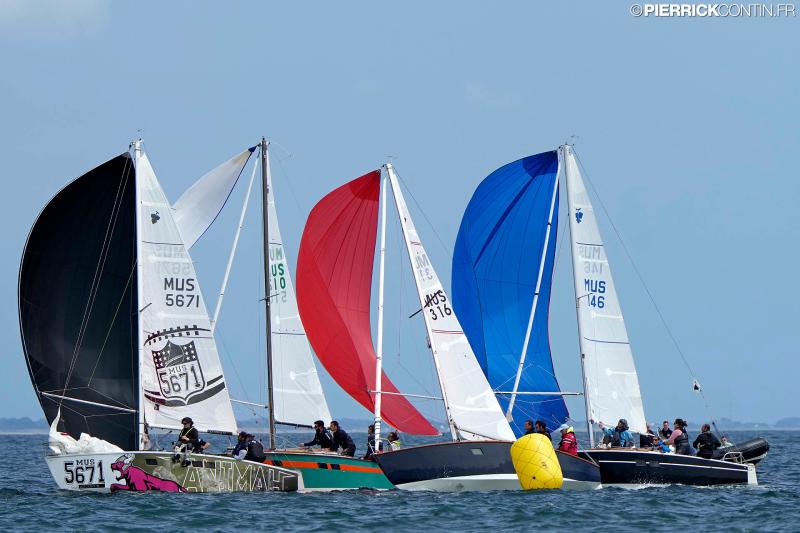 Muscadet national muscadet 2024 0489