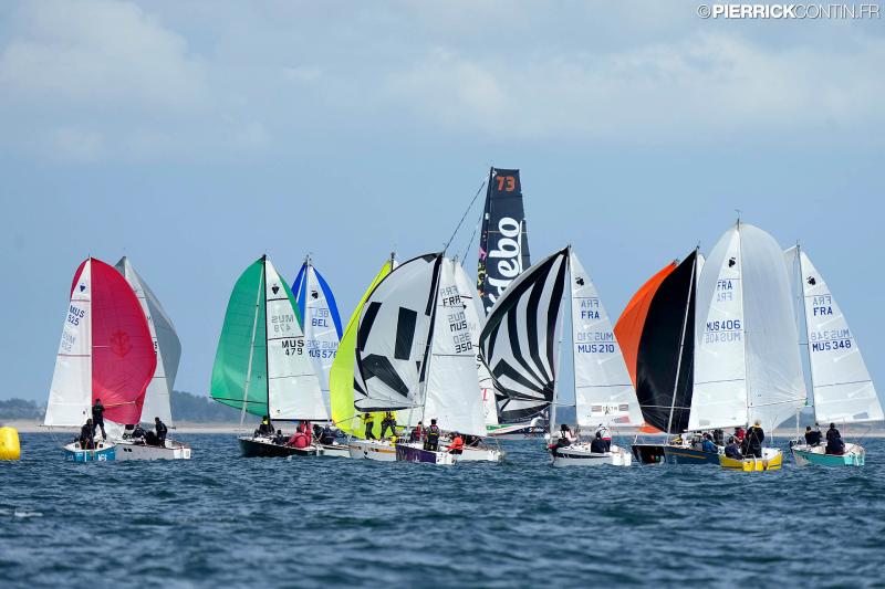 Muscadet national muscadet 2024 0478