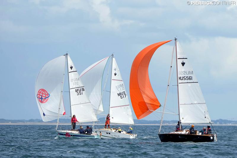 Muscadet national muscadet 2024 0474