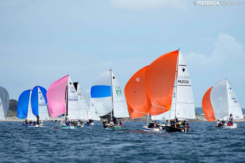 Muscadet national muscadet 2024 0467