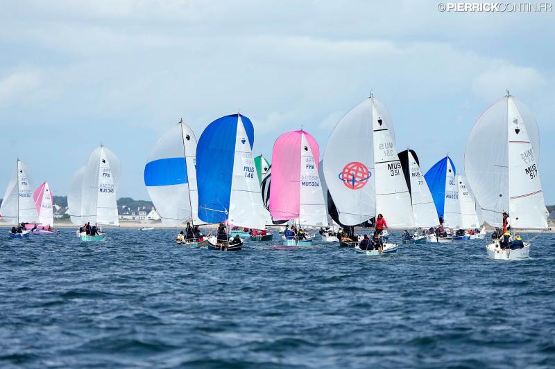 Muscadet national muscadet 2024 0462