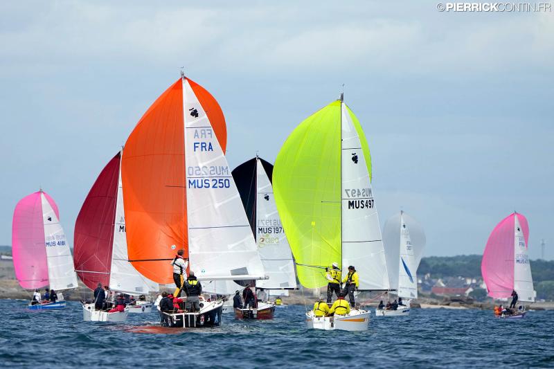 Muscadet national muscadet 2024 0444