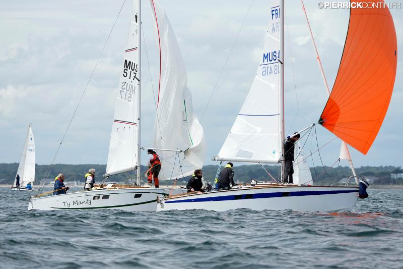 Muscadet national muscadet 2024 0437