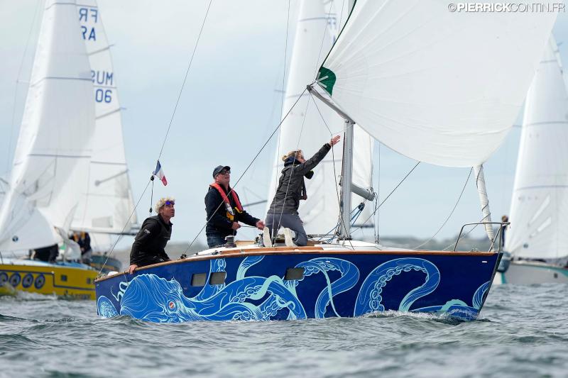 Muscadet national muscadet 2024 0412