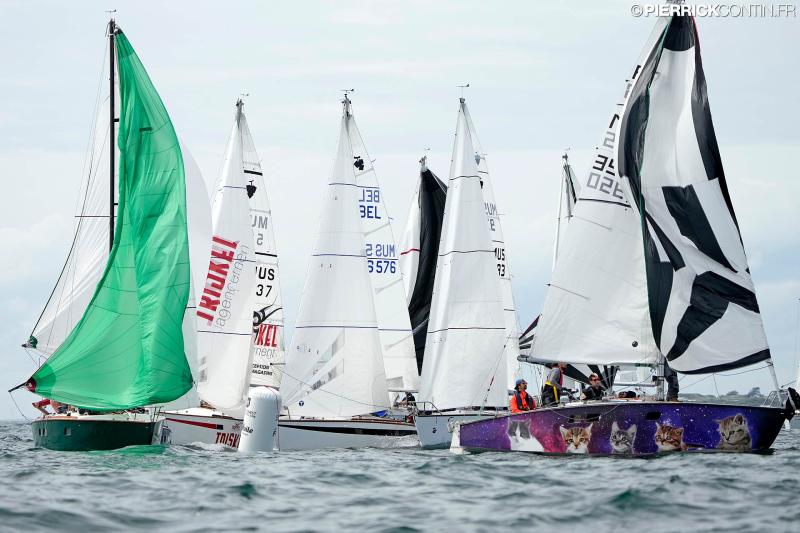 Muscadet national muscadet 2024 0410