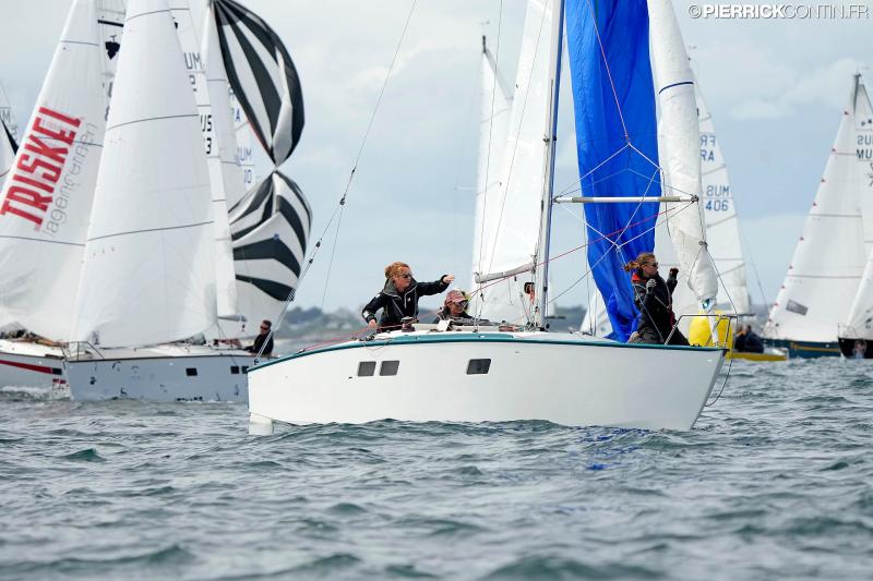 Muscadet national muscadet 2024 0408