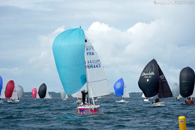 Muscadet national muscadet 2024 0536