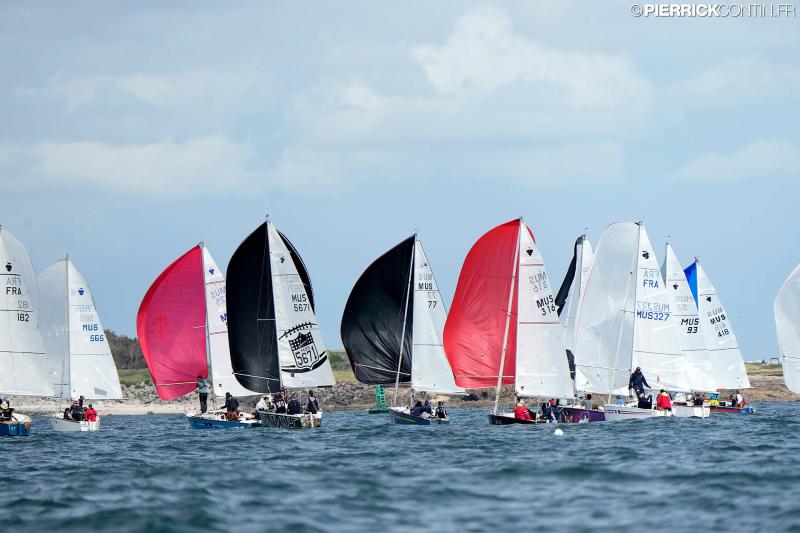 Muscadet national muscadet 2024 0528