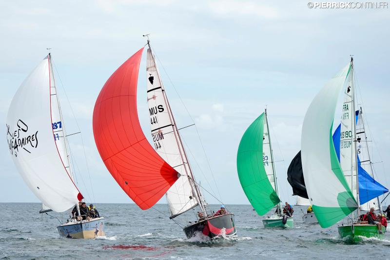 Muscadet national muscadet 2024 0501