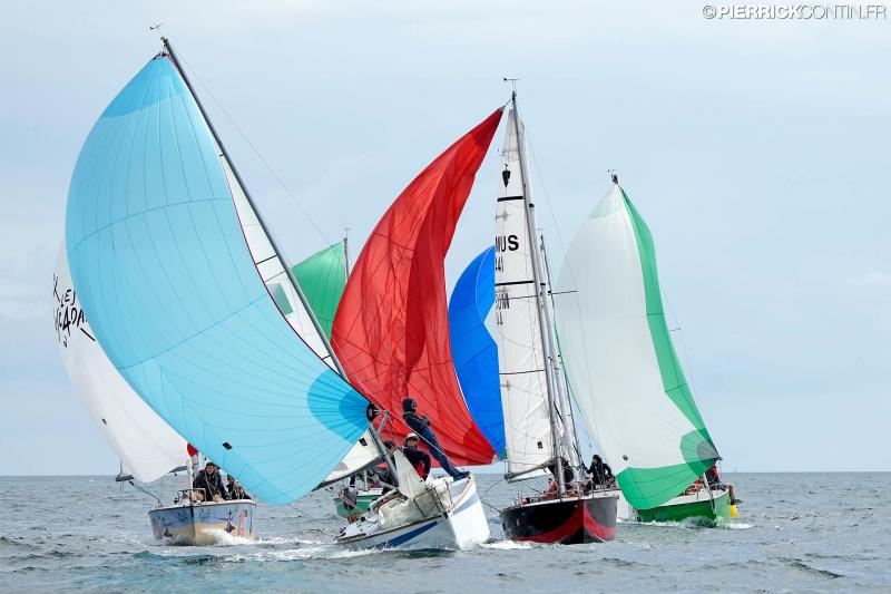 Muscadet national muscadet 2024 0497