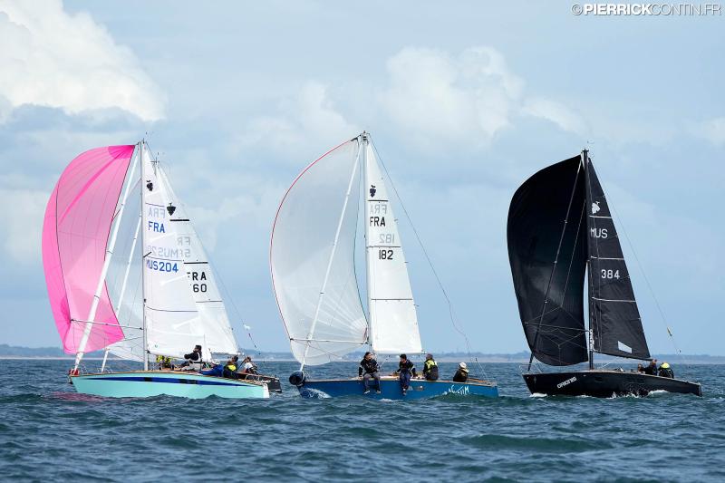 Muscadet national muscadet 2024 0491