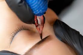 Sourcils-poudres